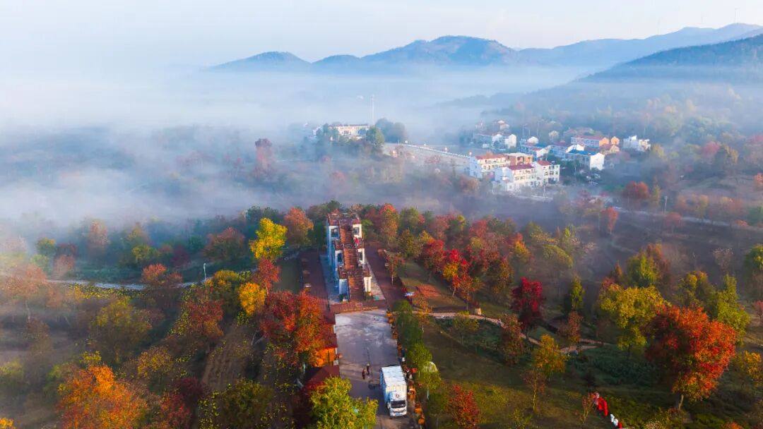 这就是大悟——红叶篇